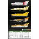 Academy MiG-21MF "Soviet AF+Export" 1:48 (12311)