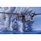 Academy 1:72 USN PBM-5A MARINER 12586