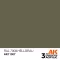 AK Interactive RAL 7009 Hellgrau Acrylic Paint 17 ml (AK11307)