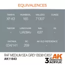 AK Interactive RAF Medium Sea Grey BS381C/637 Air Series 17 ml (AK11843)