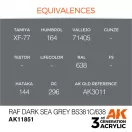 AK Interactive RAF Dark Sea Grey BS381C/638 Air Series 17 ml (AK11851)