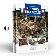 AK Interactive FRENCH ARMOR (FR) (AK130028)
