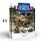 AK Interactive FRENCH ARMOR (FR) (AK130028)