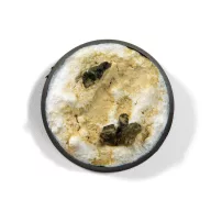 AK Interactive Dust - Liquid Pigment (AK14014)