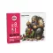 AK Interactive QUICK STARTER SET (8 QUICK GEN + 1 MEDIUM + 1 FREE BRUSH) (AK17525)