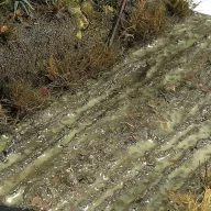   AK Interactive TERRAINS WET GROUND - 250ml (Acrylic) (AK8016)