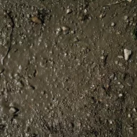   AK Interactive TERRAINS WET GROUND - 250ml (Acrylic) (AK8016)
