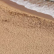   AK Interactive TERRAINS BEACH SAND - 250ml (Acrylic) (AK8019)