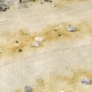 AK Interactive TERRAINS DESERT SAND - 250ml (Acrylic) (AK8020)