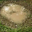 AK Interactive PUDDLES - 60ml (Acrylic) (AK8028)