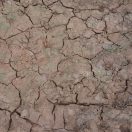 AK Interactive WET CRACKLE EFFECTS - 100ml (Acrylic) (AK8034)