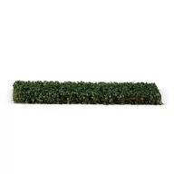 AK Interactive IVY FOLIAGE (AK8234)