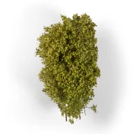 AK Interactive SPRING FILIGREE BUSHES (AK8236)