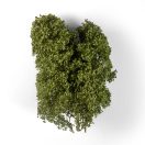 AK Interactive SUMMER FILIGREE BUSHES (AK8237)