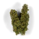 AK Interactive EARLY FALL FILIGREE BUSHES (AK8238)