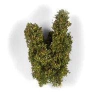 AK Interactive EARLY FALL FILIGREE BUSHES (AK8238)