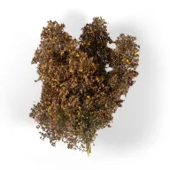AK Interactive LATE FALL FILIGREE BUSHES (AK8239)