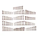 AK Interactive HUMAN BONES - BASING BITS 120 pieces (AKBIT0013)