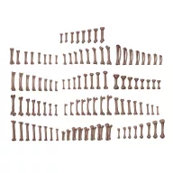   AK Interactive HUMAN BONES - BASING BITS 120 pieces (AKBIT0013)