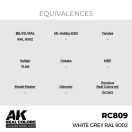 AK Interactive White Grey RAL 9002 Real Color 17 ml (RC809)