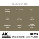 AK Interactive Graugrün-Grey Green RAL 7008 Real Color 17 ml (RC853)