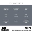 AK Interactive RAF Dark Sea Grey BS381C/638 Real Color 17 ml (RC970)