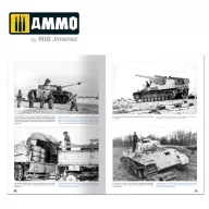   AMMO How to Paint Winter WWII German Tanks (English, Castellano) (A.MIG-6039)