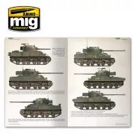 AMMO Sherman: The American Miracle (English) (A.MIG-6080)