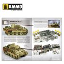 AMMO Panthers - Modeling the TAKOM Family (English) (A.MIG-6270)
