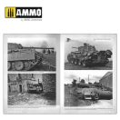 AMMO Panthers - Modeling the TAKOM Family (English) (A.MIG-6270)