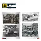 AMMO Tigers - Modelling the Ryefield Family (English) (A.MIG-6273)