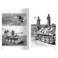  AMMO How to Paint Mid WWII German Tanks (FEB 1943 - SEP 1944) (English, Spanish) (A.MIG-6303)