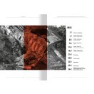 AMMO ITALIENFELDZUG - German Tanks and Vehicles 1943-1945 Vol. 5 (English)  (A.MIG-6305)