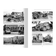   AMMO ITALIENFELDZUG - German Tanks and Vehicles 1943-1945 Vol. 5 (English)  (A.MIG-6305)