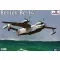 Amodel Beriev Be-14 Soviet rescue aircraft 1:144 (AMO1441)