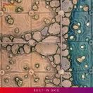 Dungeons & Lasers Dwarven Miners (DNL0112)