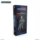 Masters of the Universe Miniatures: RAIA THE TECHNOMANCER (PSF0032)