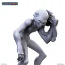 Masters of the Universe Miniatures: GRAY (PSF0059)