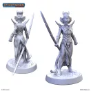 Masters of the Universe Miniatures: MARAQUOI SHAMAN (PSF0062)
