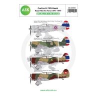   Art Scale Kit Curtiss H-75N Royal Thai Air Force service 1941-1944 1:48 (200-D48003)