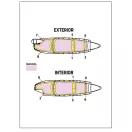 Art Scale Kit Su-27K Sea Flanker / Su-33 Flanker D double-sided painting mask for Minibase 1:48 (200-M48001)