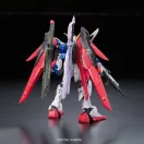 Bandai RG DESTINY GUNDAM 1/144 (61616)