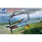 Bronco North American F-51D Mustang Korean War 1:48 (FB4012)