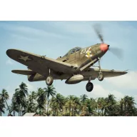 Brengun P-39 D-F-K Airacobra 1:144 (BRP144011)