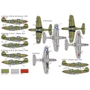 Brengun P-39 D-F-K Airacobra 1:144 (BRP144011)