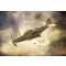 Brengun P-39Q Airacobra 1:144 (BRP144012)