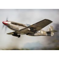 Brengun A-36 Apache USAF 1:72 (BRP72025)