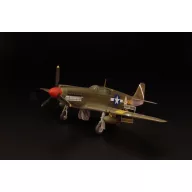 Brengun A-36 Apache USAF 1:72 (BRP72025)