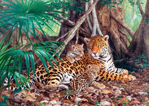 Castorland Jaguars in the jungle,Puzzle 3000 db-os (C-300280-2)