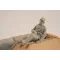 CMK German WWII Hetzer Sitting Infanty man 1:35 (129-F35260)